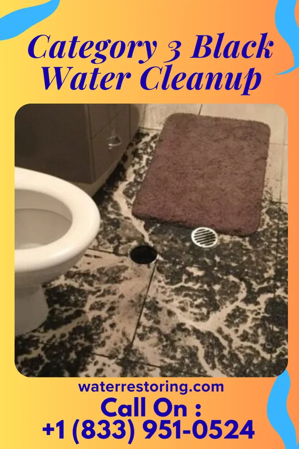 Category 3 Black Water Cleanup in Port Washington North, NY