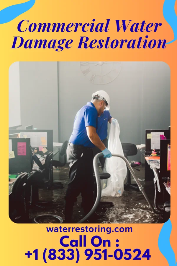 Commercial Water Damage Restoration in Port Washington North, NY