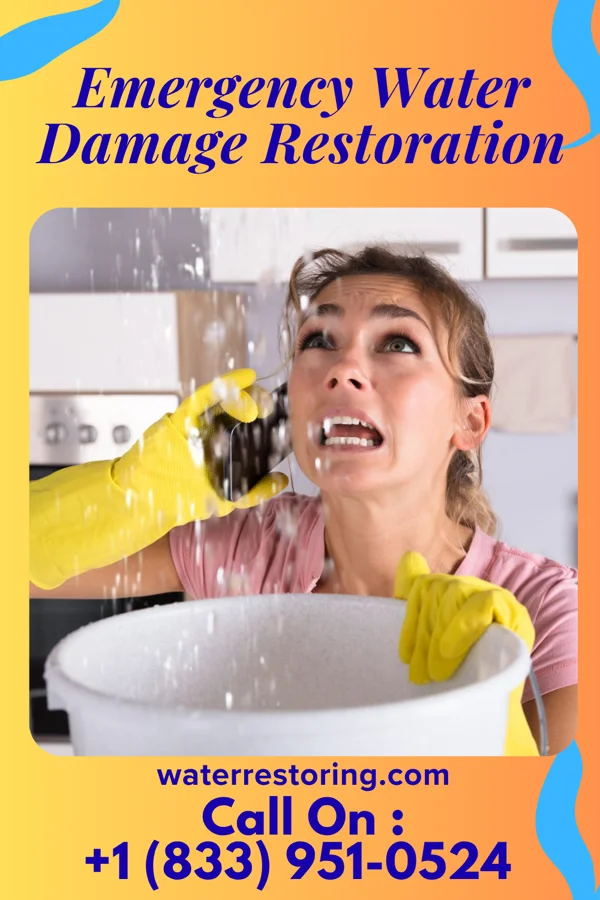 Emergency Water Damage Restoration in Port Washington North, NY