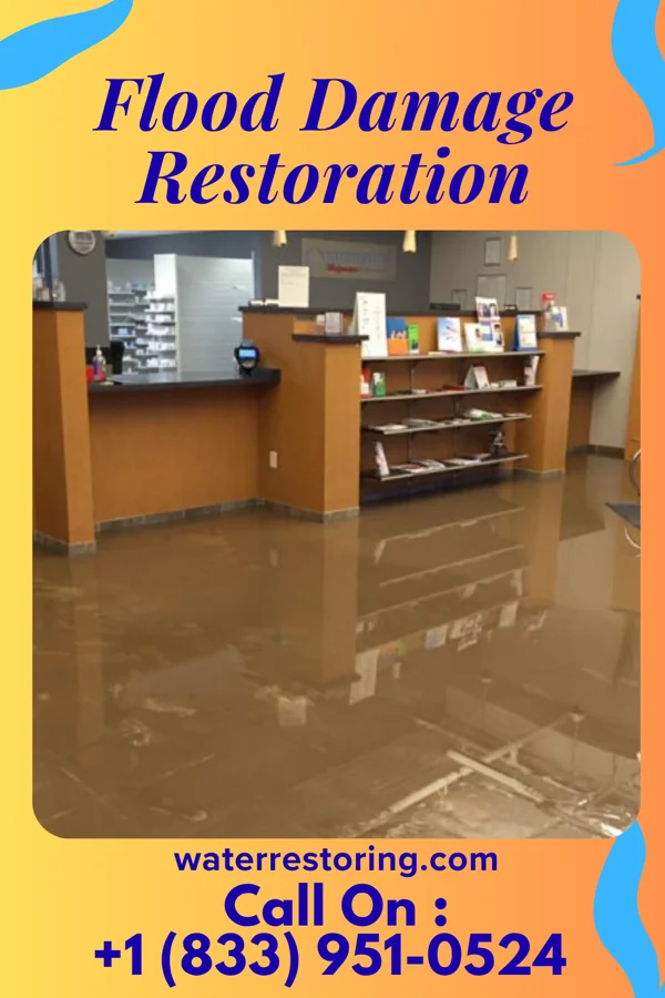 Flood Damage Restoration in Port Washington North, NY