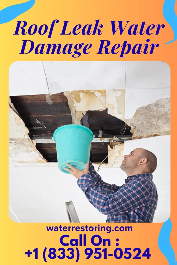 Roof Leak Water Damage Repair in Port Washington North, NY