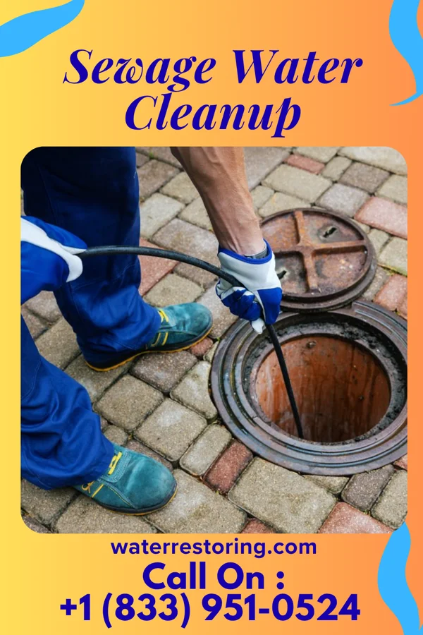 Sewage Water Cleanup in Port Washington North, NY