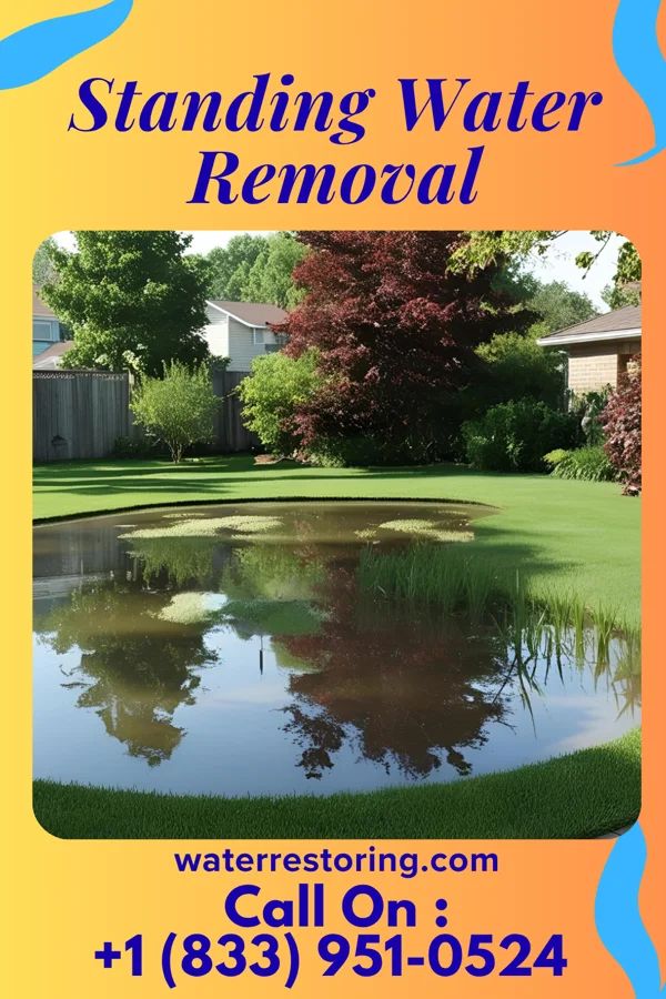 Standing Water Removal in Port Washington North, NY